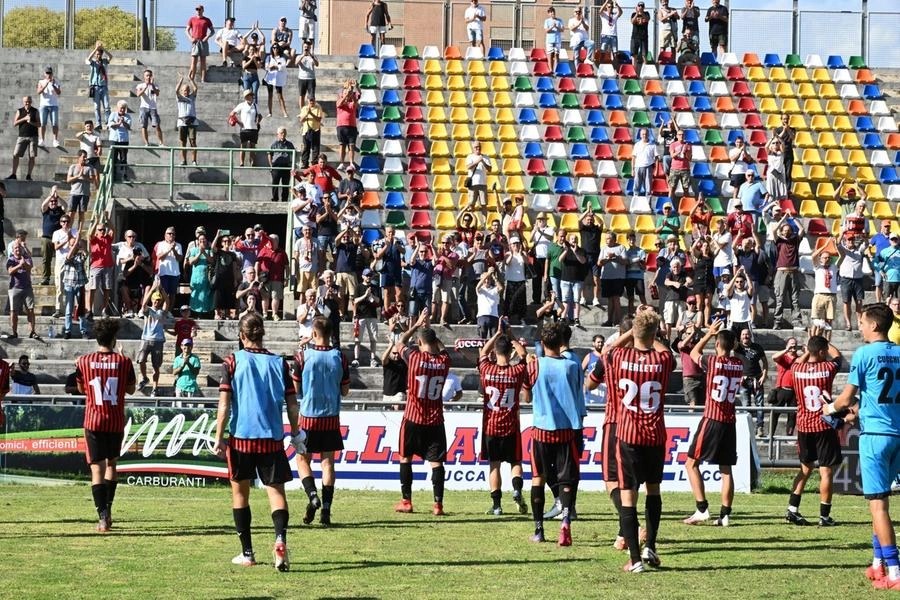 immagine di sfondo 3