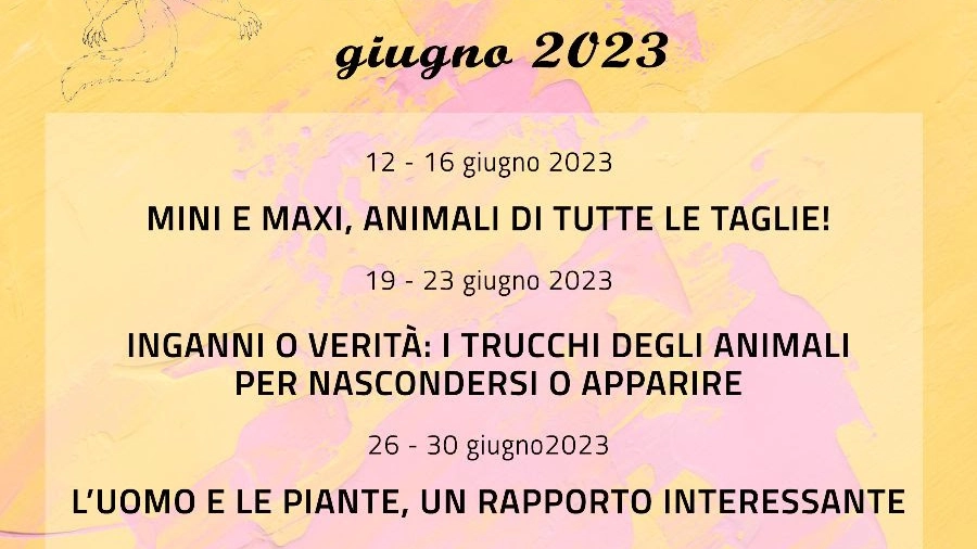 La locandina dell'evento La locandina dell'evento