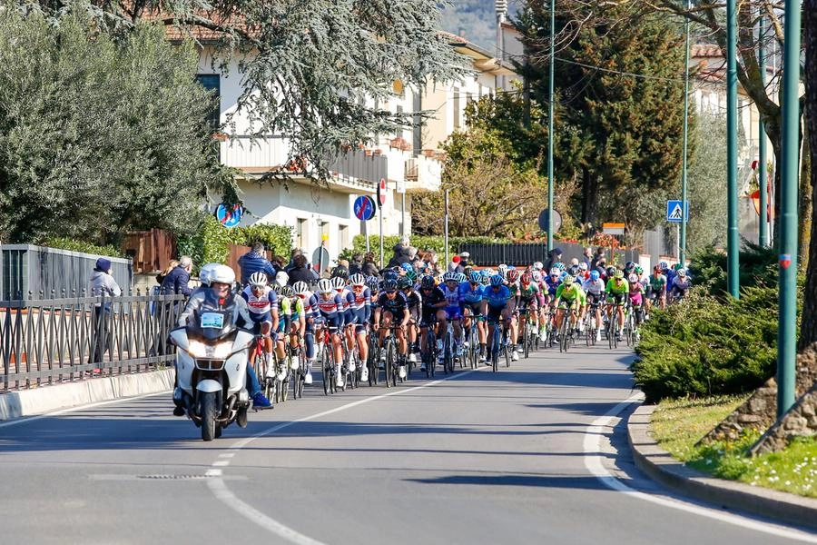 immagine di sfondo 9