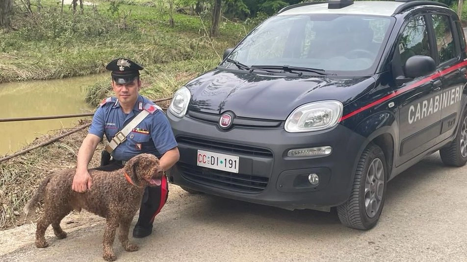 Carabiniere con il cane salvato dal fiume insieme al suo proprietario Carabiniere con il cane salvato dal fiume insieme al suo proprietario