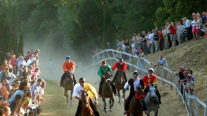 Palio di Casole d’Elsa  Le Contrade hanno scelto  Ecco tutte le accoppiate