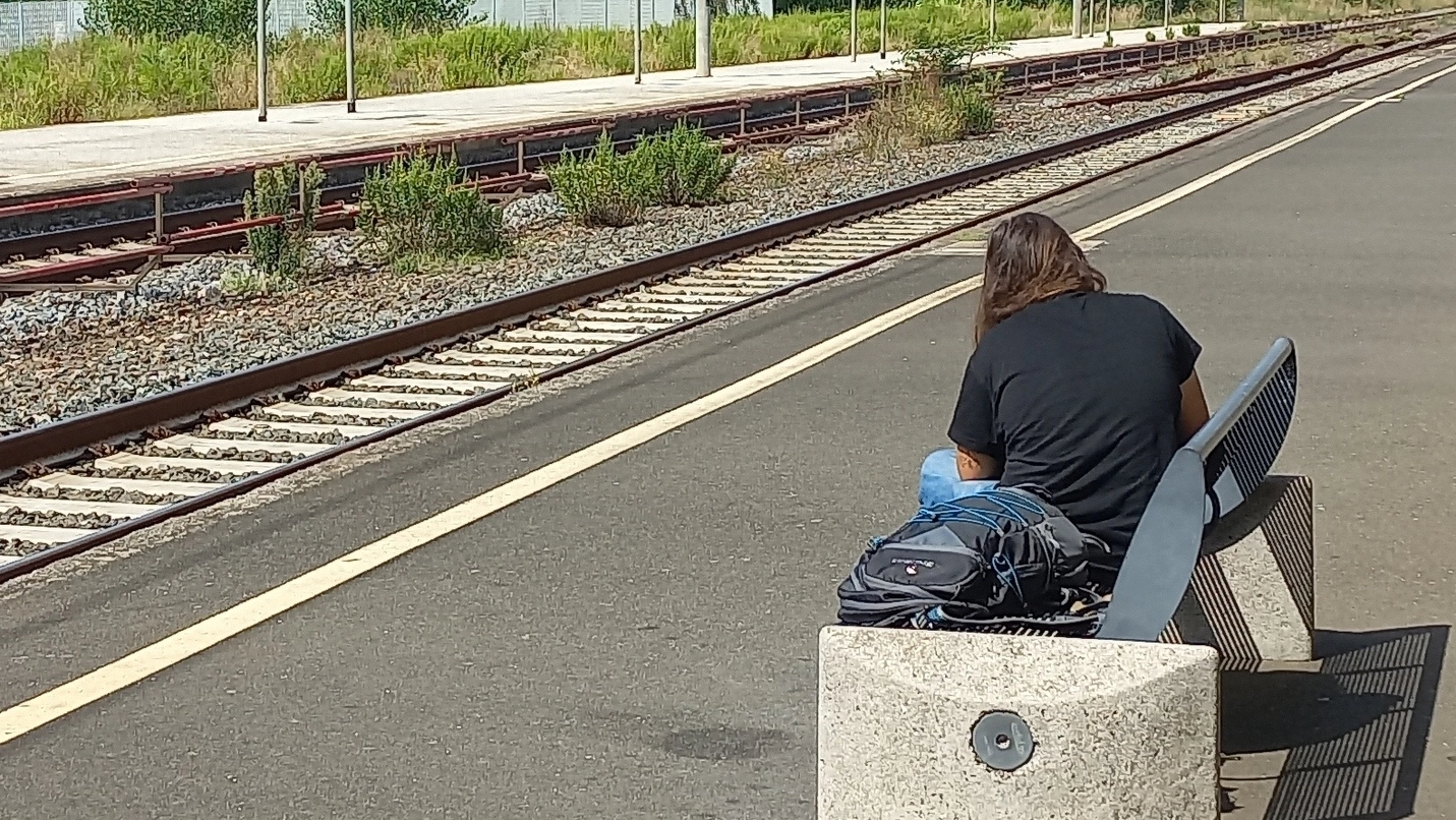 Inquietante episodio alla stazione di Pietrasanta (foto repertorio) Inquietante episodio alla stazione di Pietrasanta (foto repertorio)