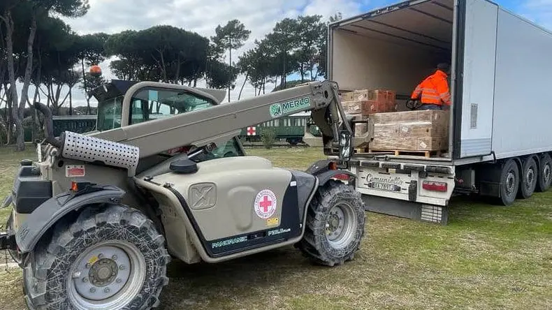 Maxi fornitura di guanti Donazione alla Cri Maxi fornitura di guanti Donazione alla Cri
