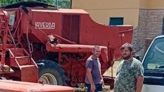 Cinghiali nei campi di grano "Battute di contenimento per ridurre i danni ai raccolti" Cinghiali nei campi di grano "Battute di contenimento per ridurre i danni ai raccolti"