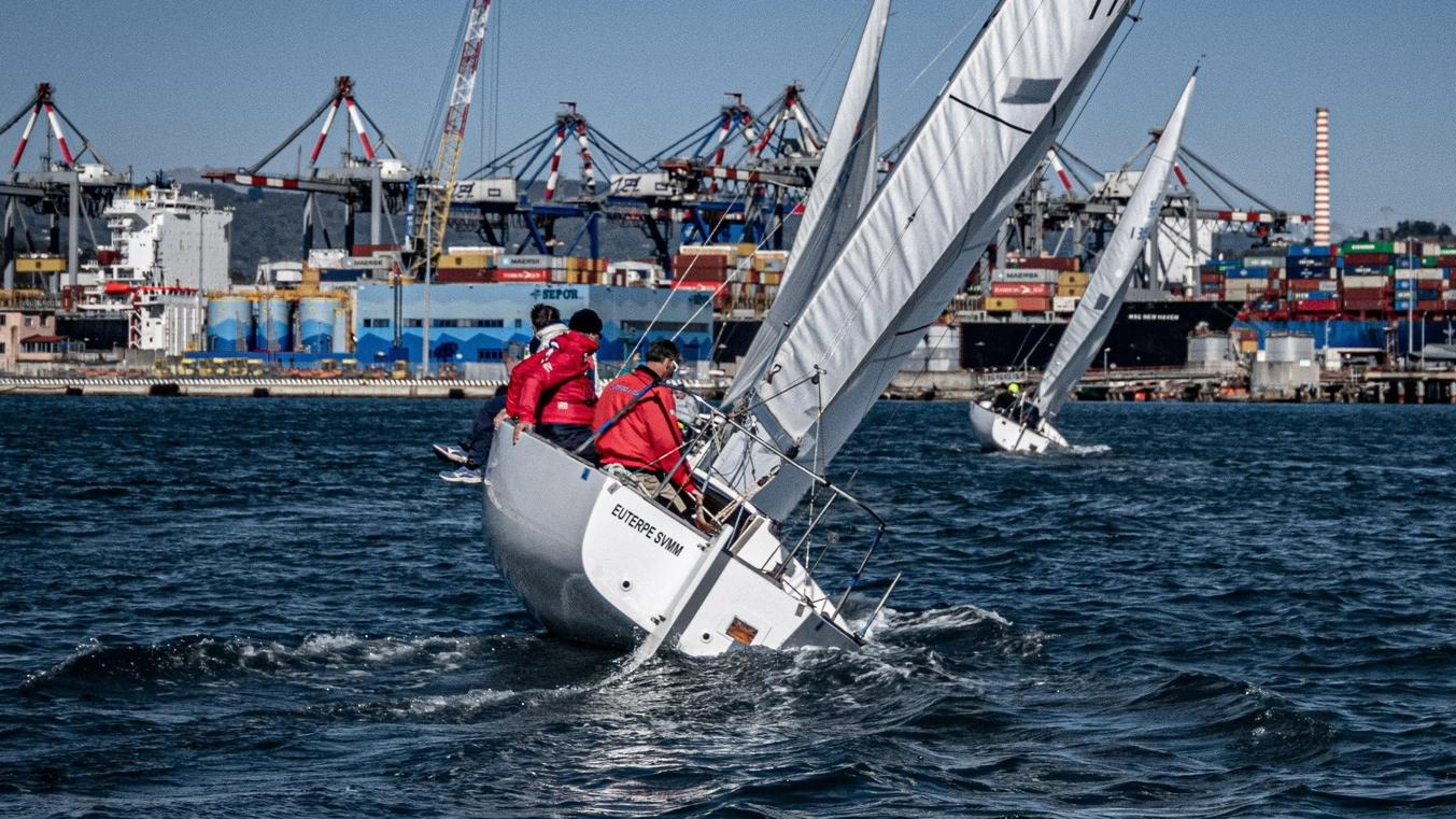 Golfo dei Poeti Cup, show in mare Tra regate, canoa e Notte bianca "Saremo presto un’altra Barcolana" Golfo dei Poeti Cup, show in mare Tra regate, canoa e Notte bianca "Saremo presto un’altra Barcolana"