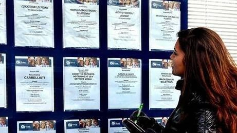 Lavoro, giornata aperta alla formazione Diplomati protagonisti Lavoro, giornata aperta alla formazione Diplomati protagonisti