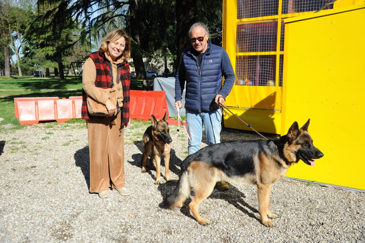 immagine di sfondo 4
