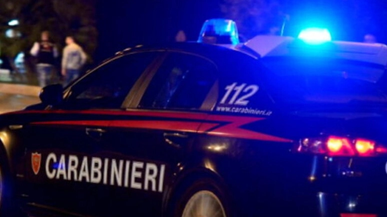 Le indagini dei carabinieri (foto Ansa)