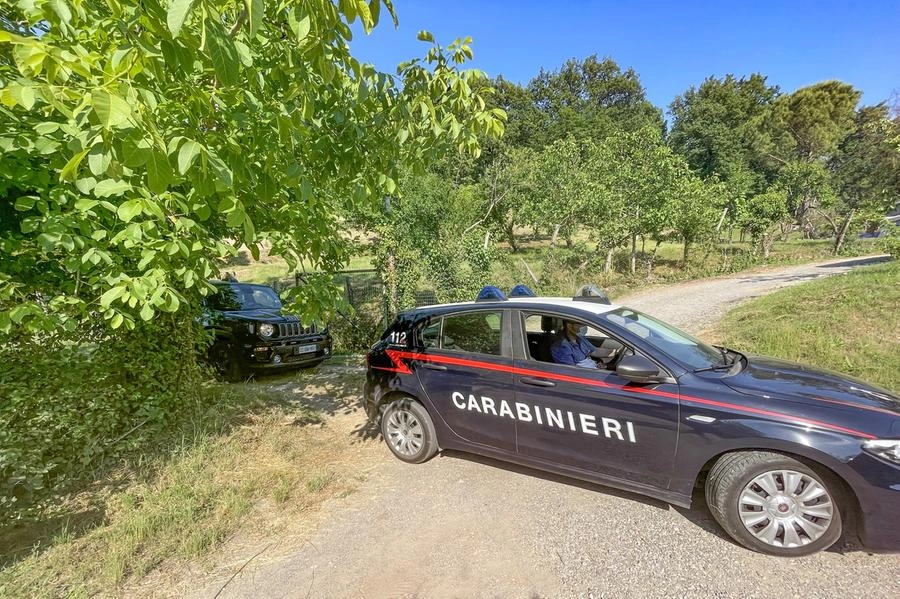 immagine di sfondo 5