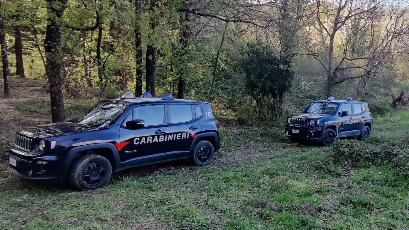 Cadavere nel bosco La tragica scoperta Claudio Bindi era sparito da un mese Cadavere nel bosco La tragica scoperta Claudio Bindi era sparito da un mese