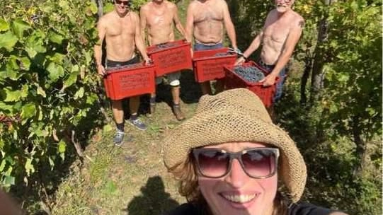 Una vendemmia... svedese: "Noi, innamorati di un rito" Una vendemmia... svedese: "Noi, innamorati di un rito"
