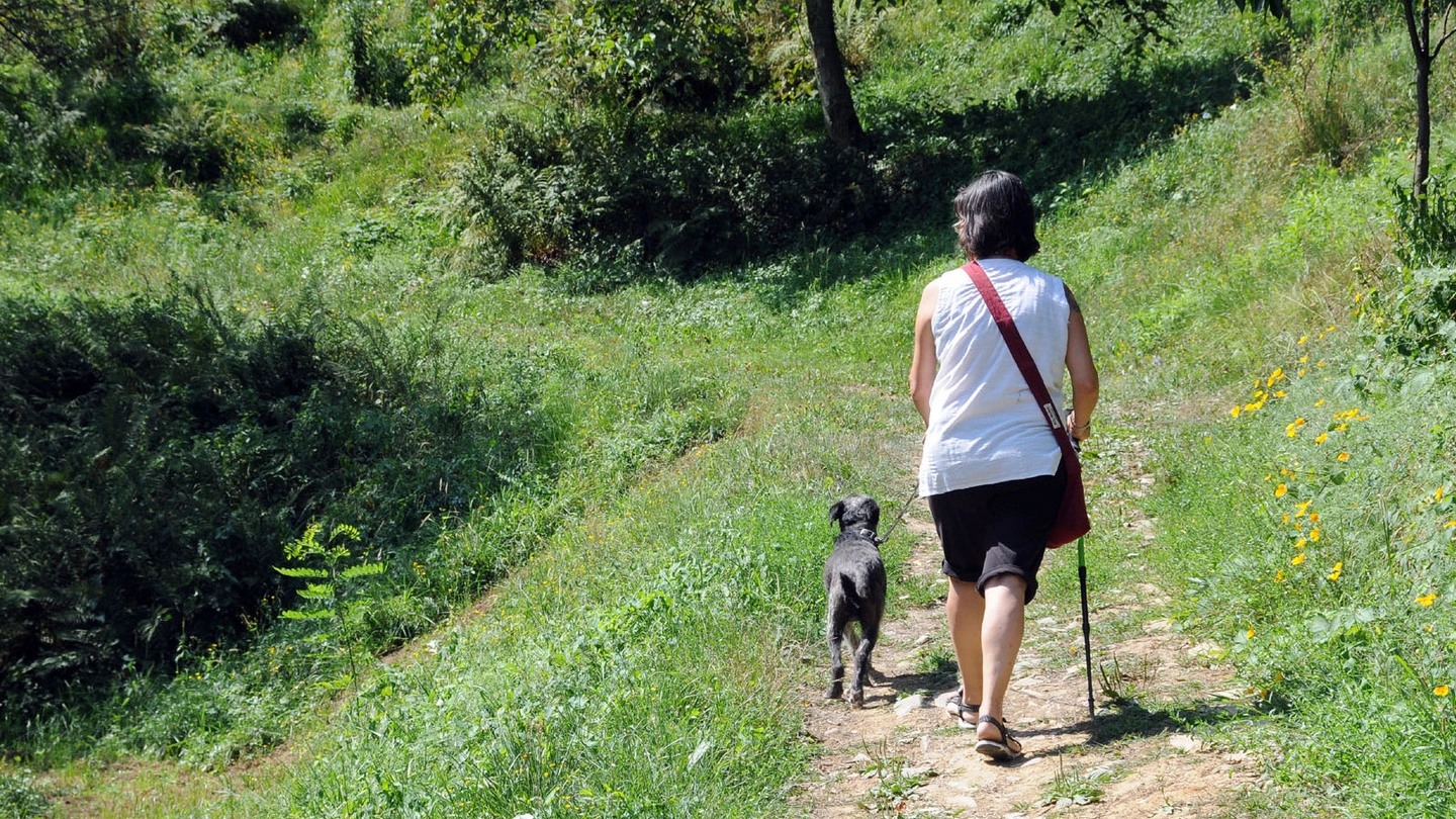 Signora a passeggio con il cane (foto d'archivio)