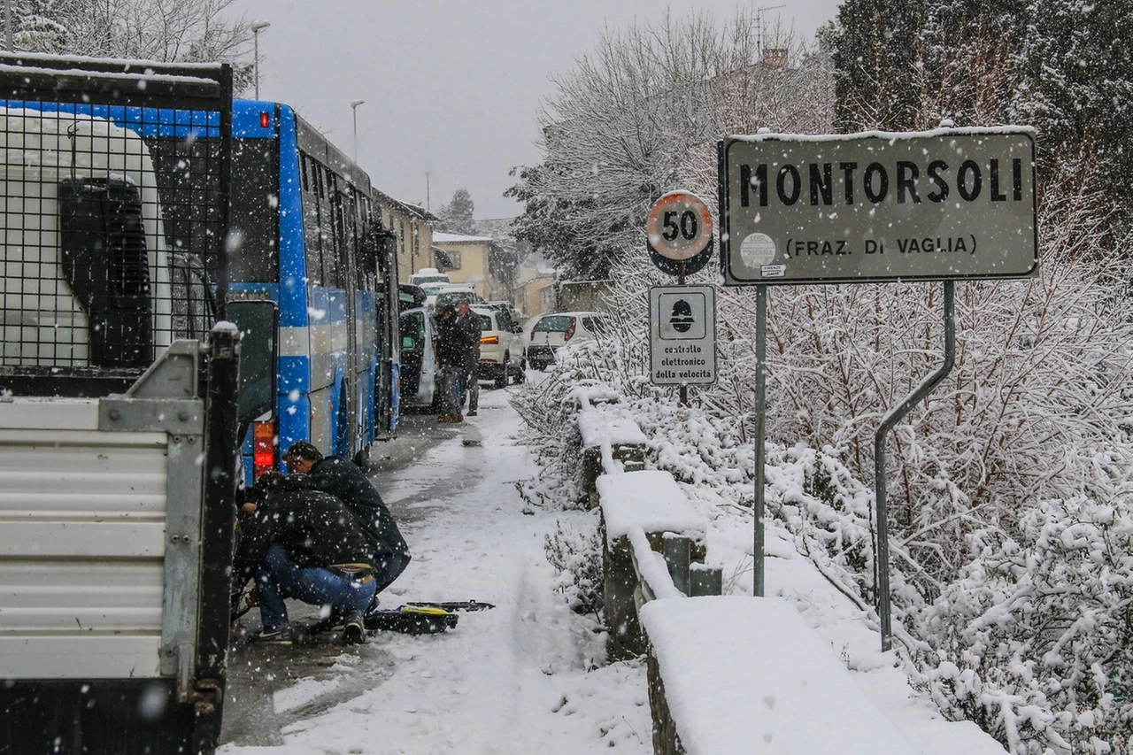 immagine di sfondo 8