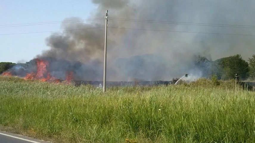 Le fiamme  lungo la via Castiglionese, vicino al centro quadrupedi dell’esercito (Foto Aprili)