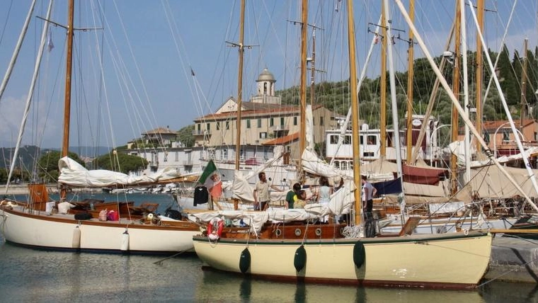 Barche d’epoca a raduno Vetrina e sfide nel golfo Barche d’epoca a raduno Vetrina e sfide nel golfo