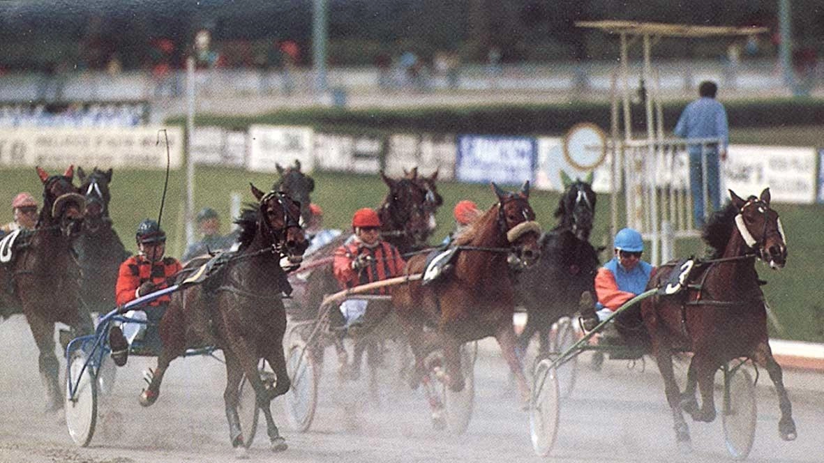 L’ippica si racconta con i suoi "big" L’ippica si racconta con i suoi "big"