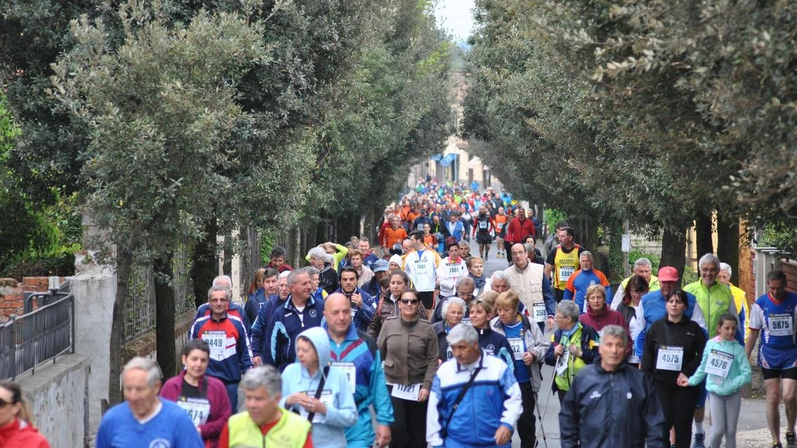 Lo sport, spirito collettivo. Dalle molte realtà locali ai tanti campioni nati qui Lo sport, spirito collettivo. Dalle molte realtà locali ai tanti campioni nati qui