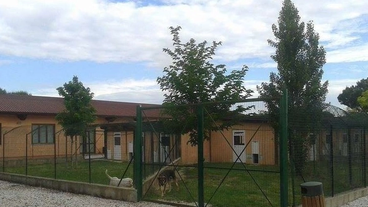 Il Parco degli animali di Ugnano (Firenze)