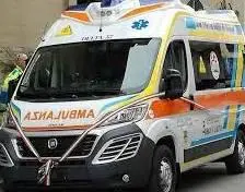 Salvata tartaruga che era rimasta intrappolata