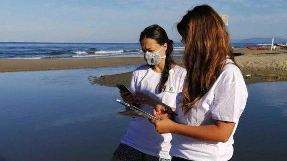 Arno e Scolmatore Le acque più inquinate "Situazione peggiorata rispetto ad un anno fa" Arno e Scolmatore Le acque più inquinate "Situazione peggiorata rispetto ad un anno fa"