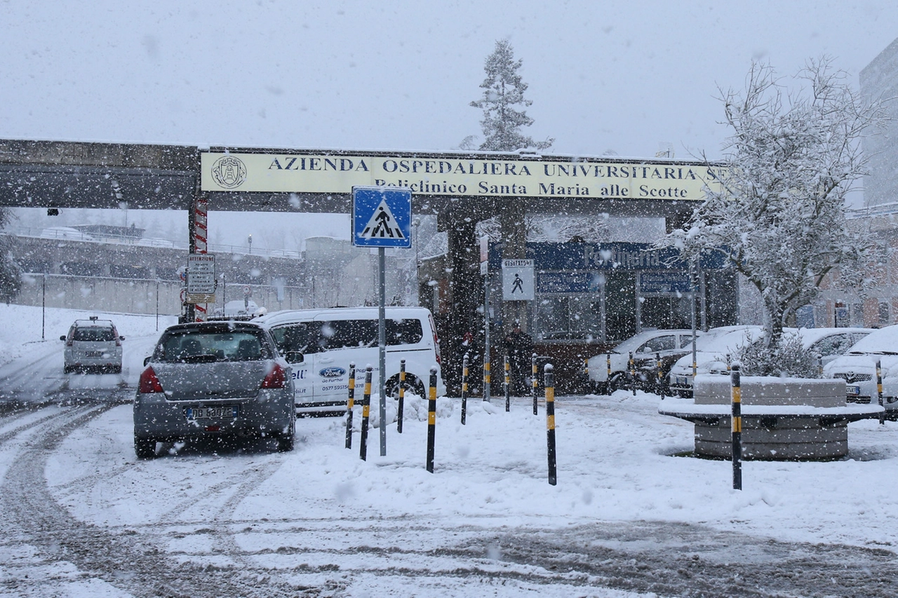 immagine di sfondo 1