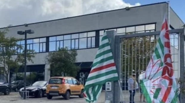 L’urlo dei lavoratori della PayCare "Politica e istituzioni indifferenti" L’urlo dei lavoratori della PayCare "Politica e istituzioni indifferenti"