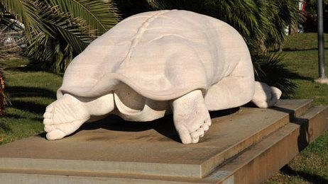 Donna tartaruga come le Oceaniche  "Dov’è finita la mia scultura?"