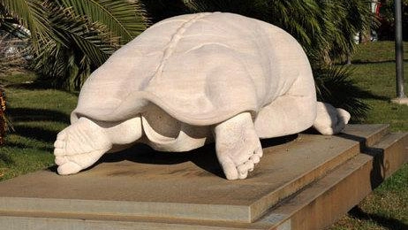 Donna tartaruga come le Oceaniche "Dov’è finita la mia scultura?" Donna tartaruga come le Oceaniche "Dov’è finita la mia scultura?"