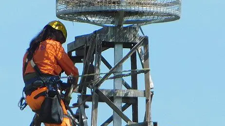 Il nido della cicogna Sistemato da Enel Il nido della cicogna Sistemato da Enel