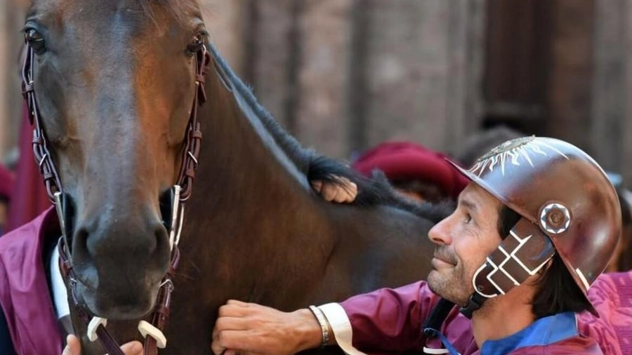 E' morta Morosita, la cavalla regina del Palio. Era rinata dopo l'infortunio