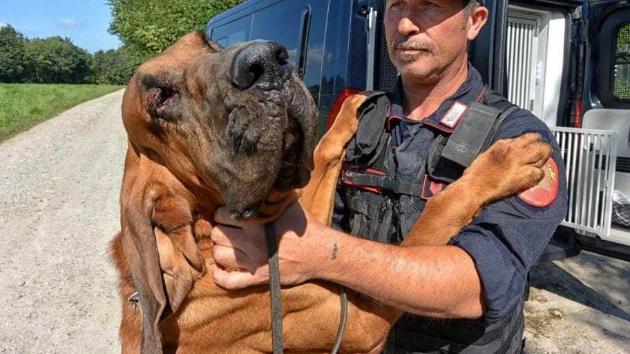 Un’estate sicura in Versilia. Sedici arresti e 91 denunciati. Bilancio dei servizi voluti dal prefetto Un’estate sicura in Versilia. Sedici arresti e 91 denunciati. Bilancio dei servizi voluti dal prefetto
