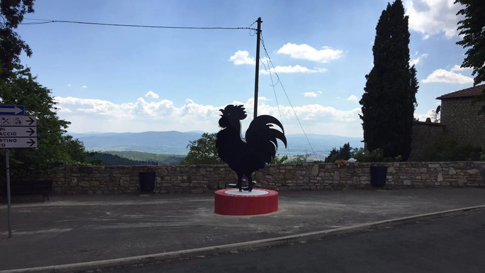 Gallo Nero a Castellina in Chianti 