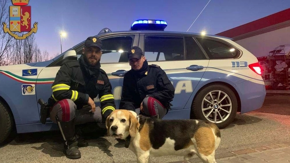 I poliziotti con il beagle salvato