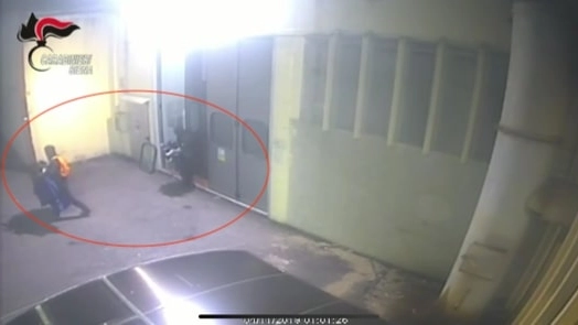Un'immagine ripresa dalle telecamere di sicurezza durante uno dei furti nei capannoni