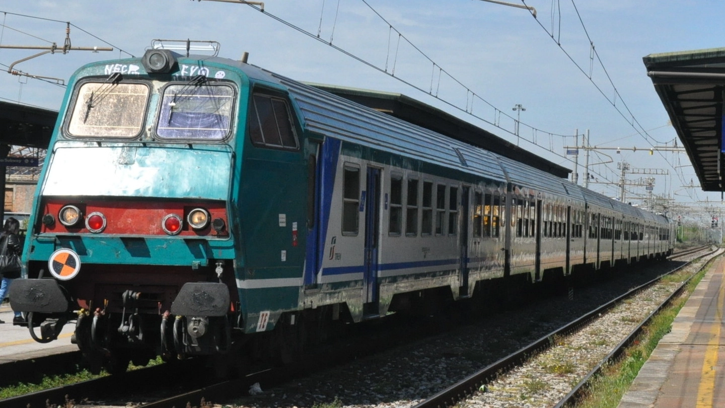 Treno (foto Germogli)