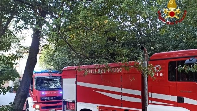 Incendio all’ex Posta  Due ore di duro lavoro  per domare le fiamme