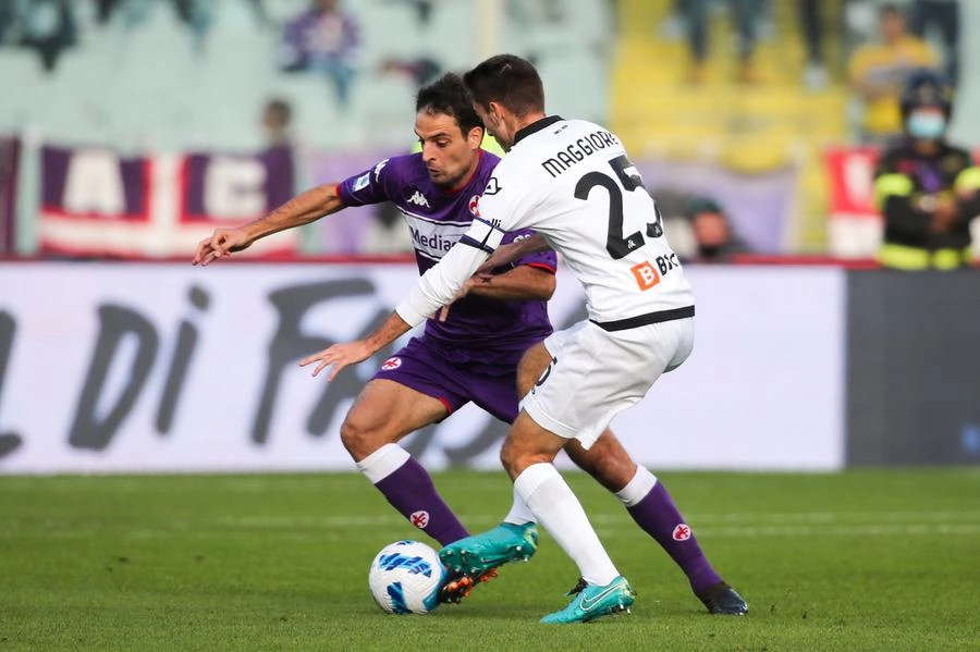 immagine di sfondo 9