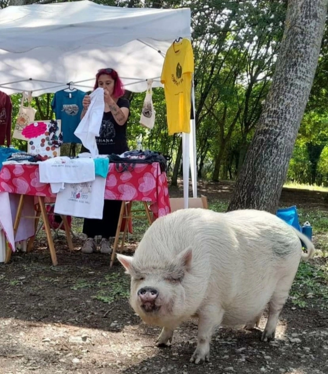 immagine di sfondo 14