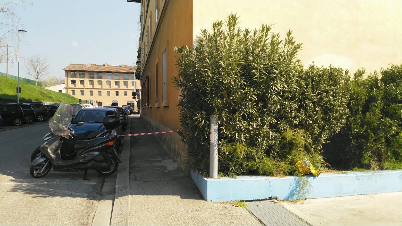 La nicchia tra i cespugli dove è stato rinvenuto l'imprenditore deceduto La nicchia tra i cespugli dove è stato rinvenuto l'imprenditore deceduto