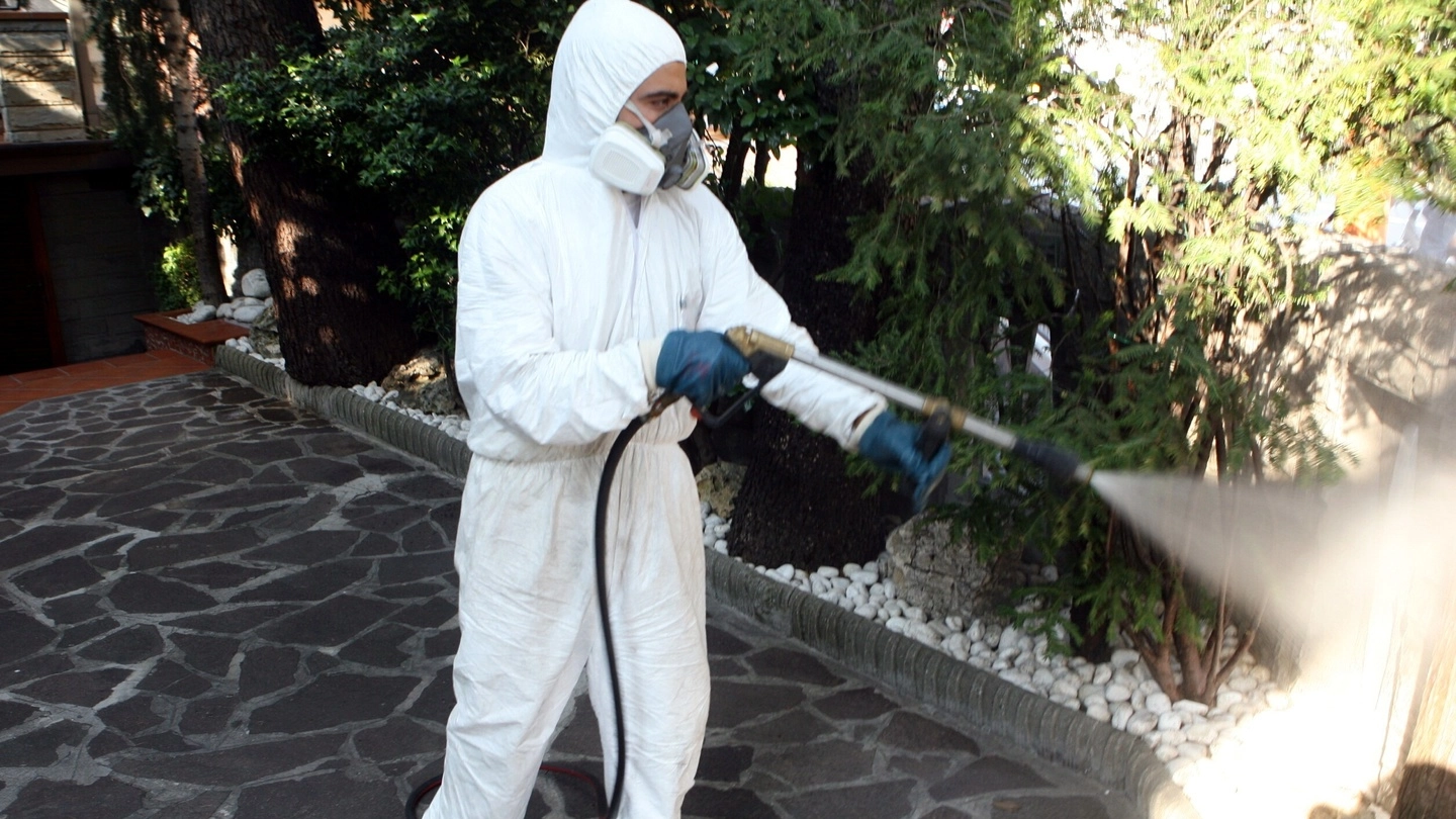 Disinfestazione