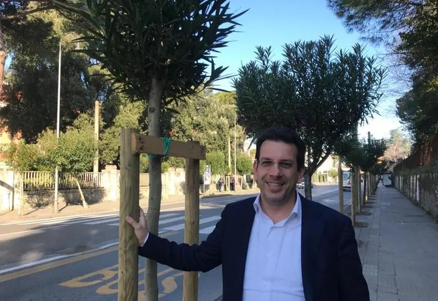 Scuole più verdi: si piantano 512 nuovi alberi