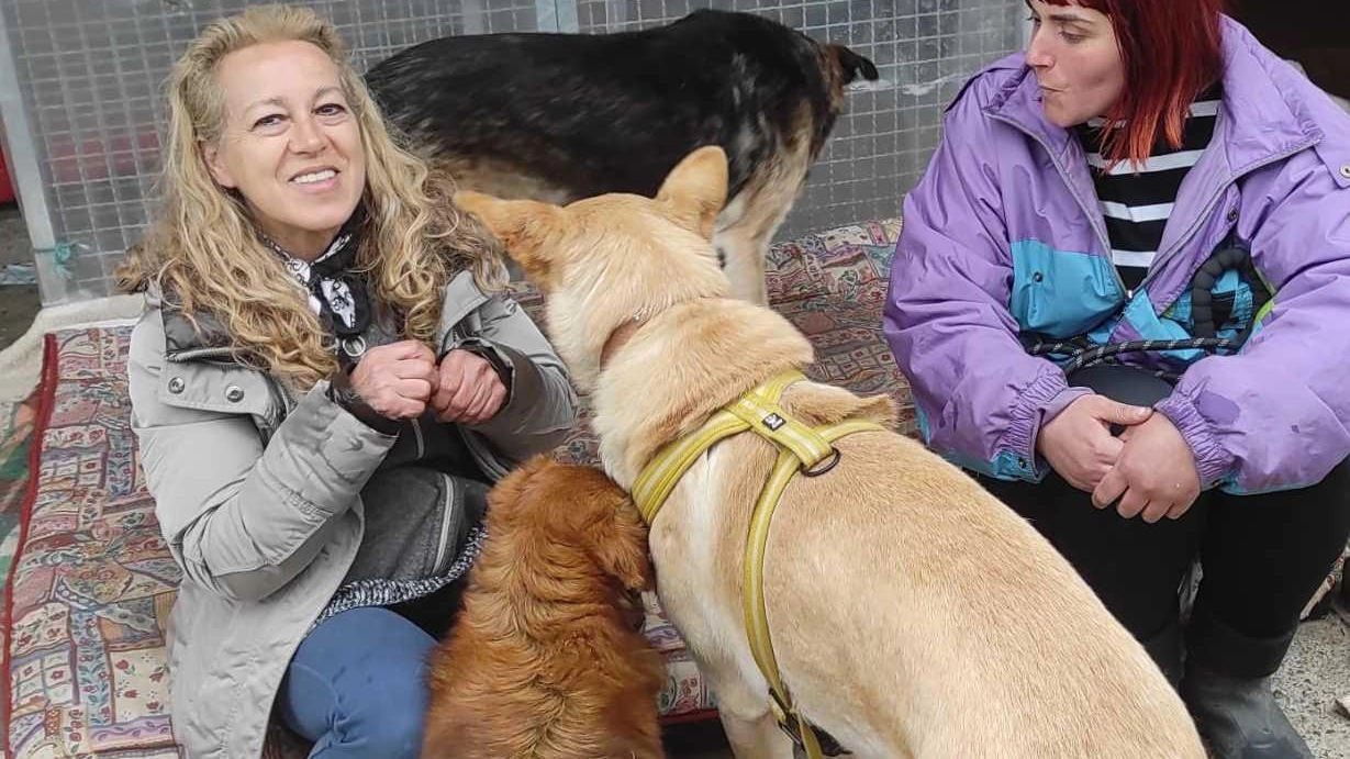 "Voglia di casa" canile sanitario di Santa Croce  Qui la Simona Baldoncini dà speranza a cani e gatti