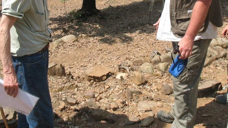 Le Giornate degli Etruschi. Un convegno nazionale dedicato alla pastorizia Le Giornate degli Etruschi. Un convegno nazionale dedicato alla pastorizia