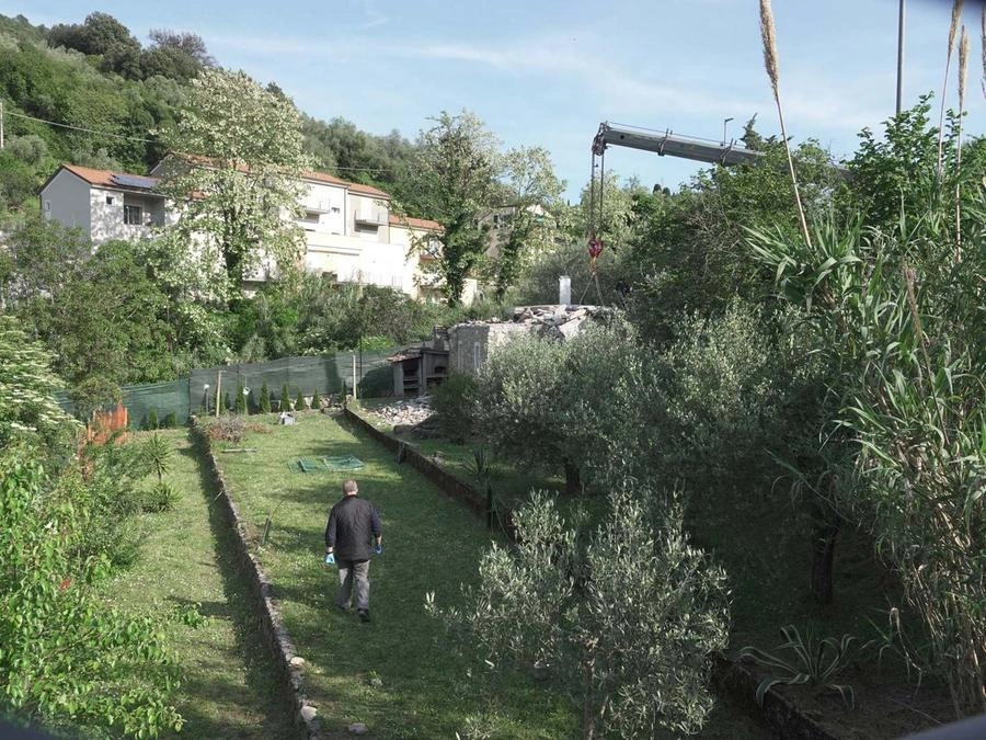 immagine di sfondo 3