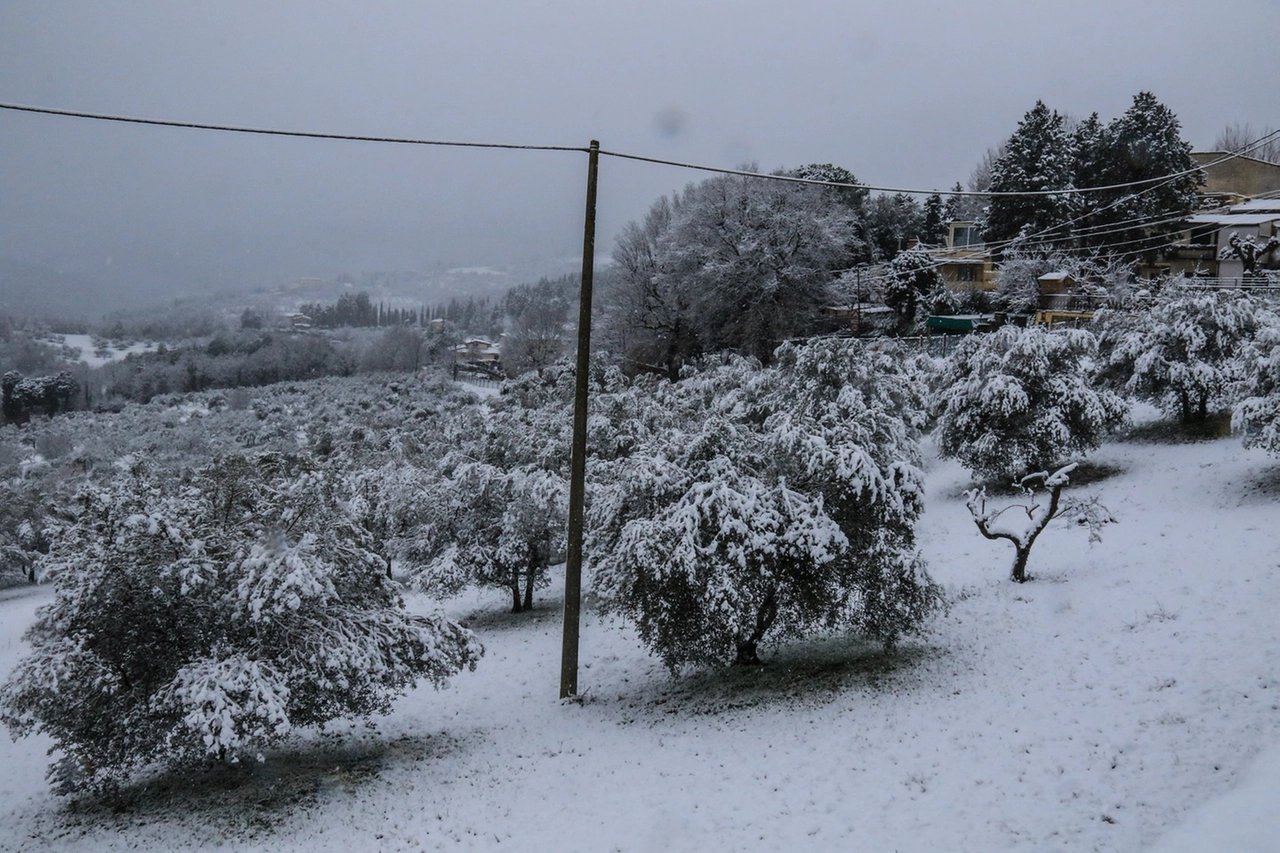 immagine di sfondo 16