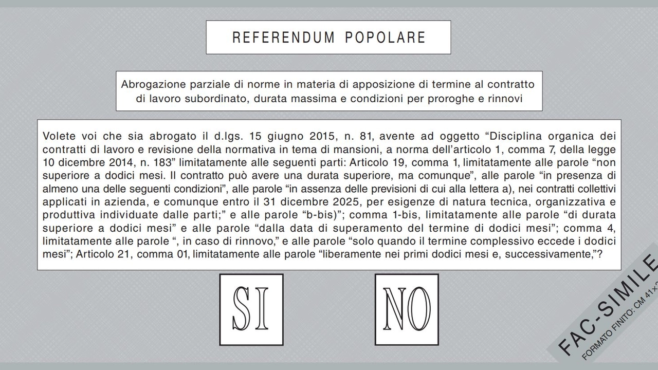 La scheda grigia (contratti a termine)