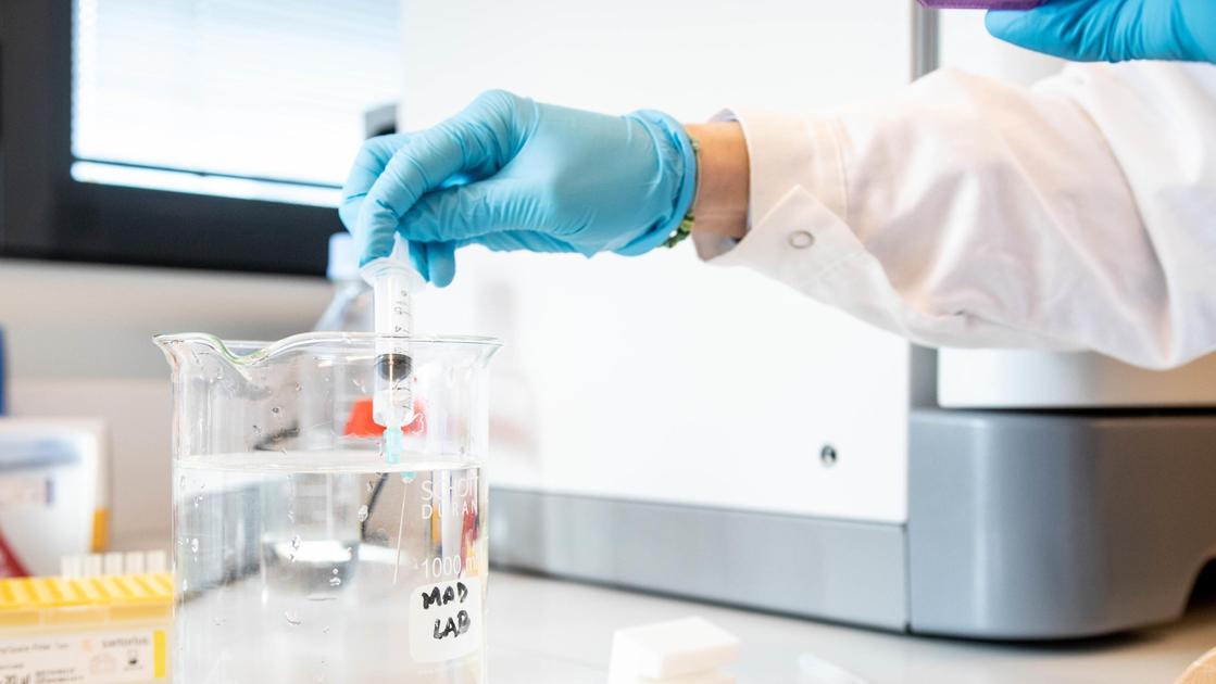 Infezione da Shigella. Ecco l’anticorpo monoclonale