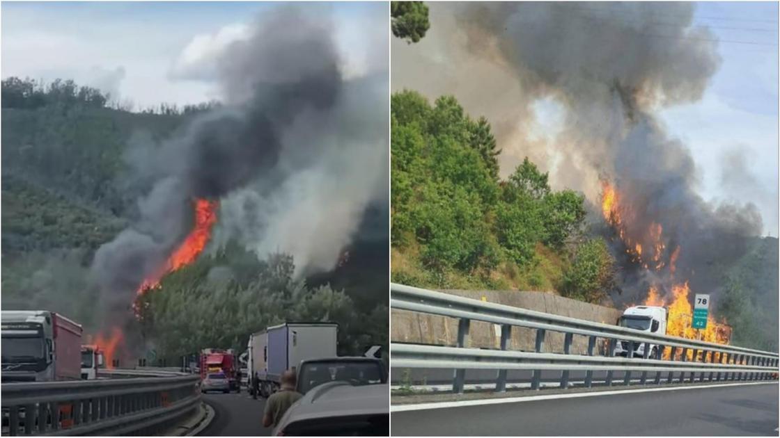 massarosa camion si incendia in autostrada prende fuoco anche la collina
