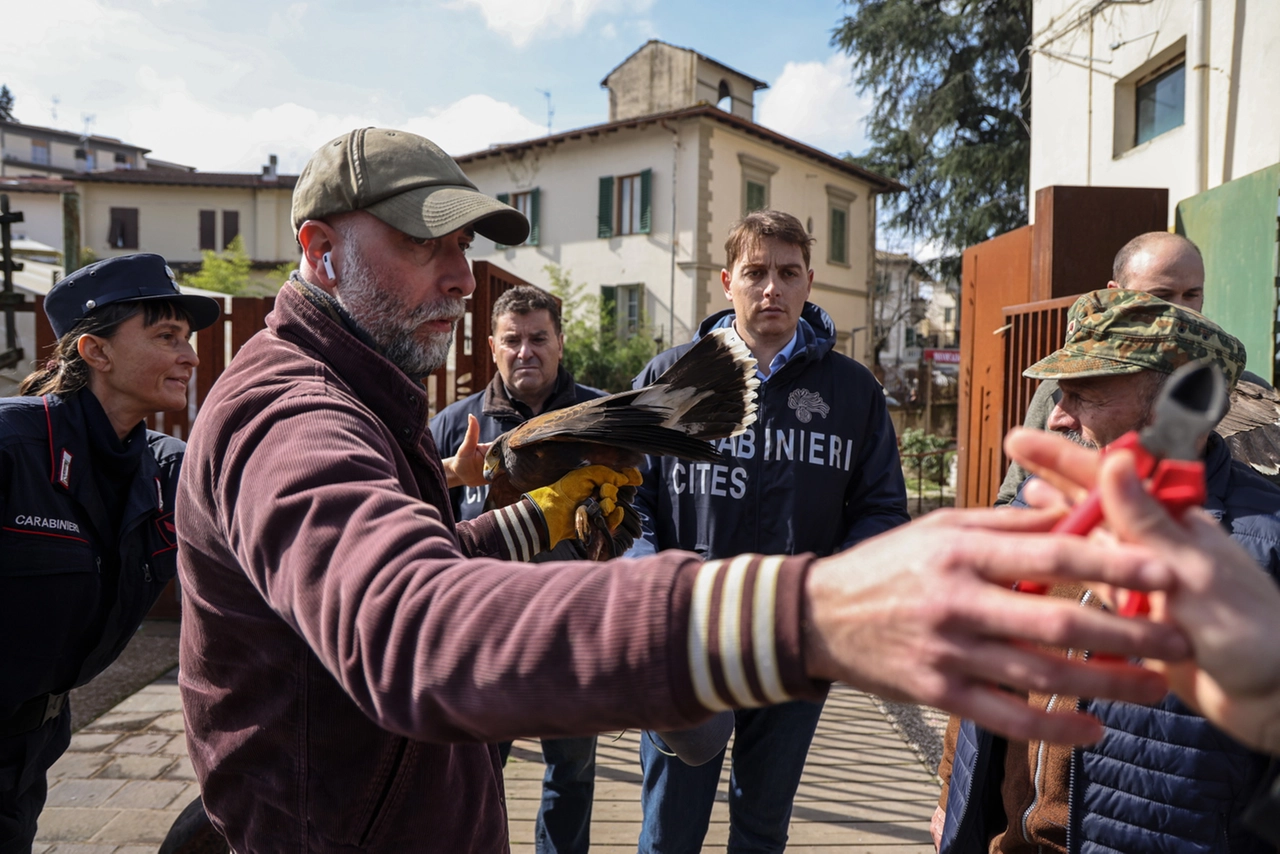 immagine di sfondo 7