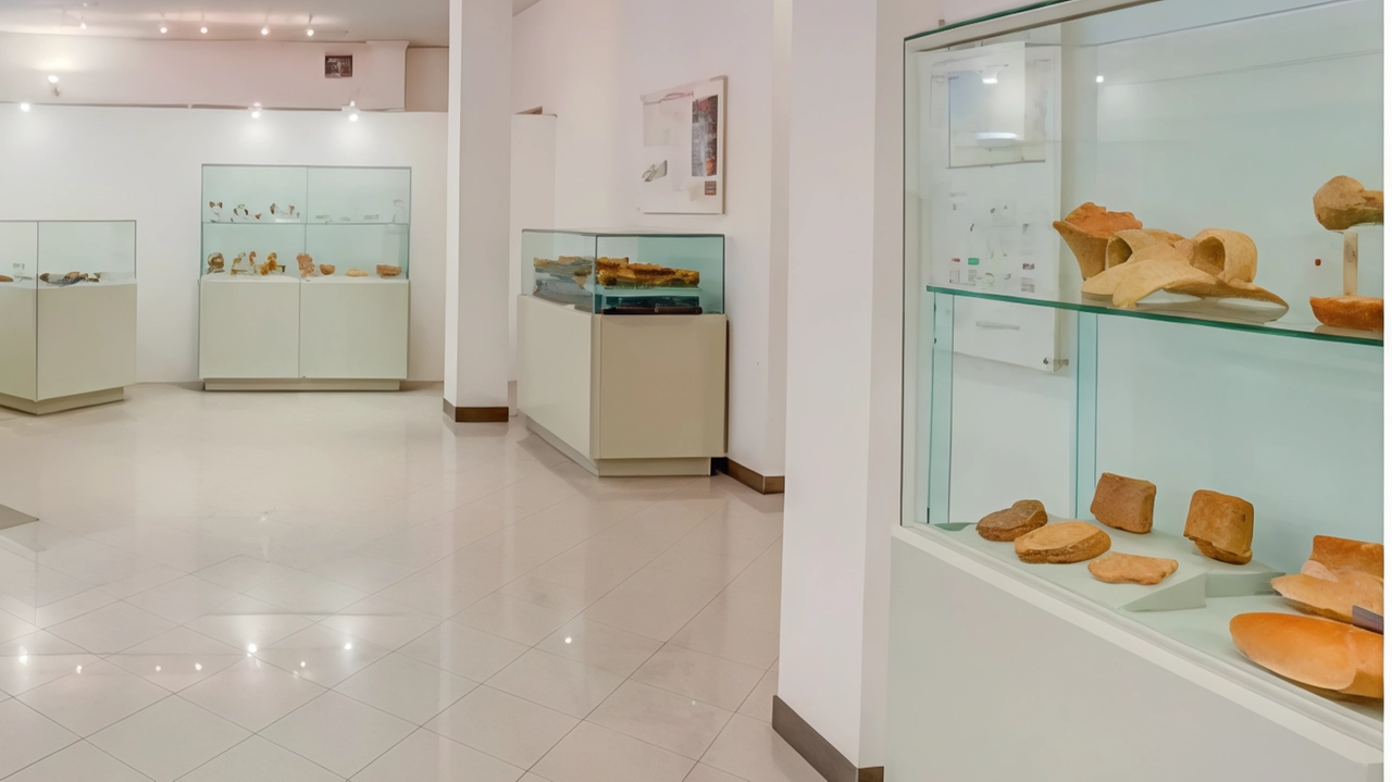 E’ polemica dopo che il sindaco Mini avrebbe deciso di portar via i reperti storici dal museo di Orentano per esporli fra qualche anno a Castelfranco E’ polemica dopo che il sindaco Mini avrebbe deciso di portar via i reperti storici dal museo di Orentano per esporli fra qualche anno a Castelfranco